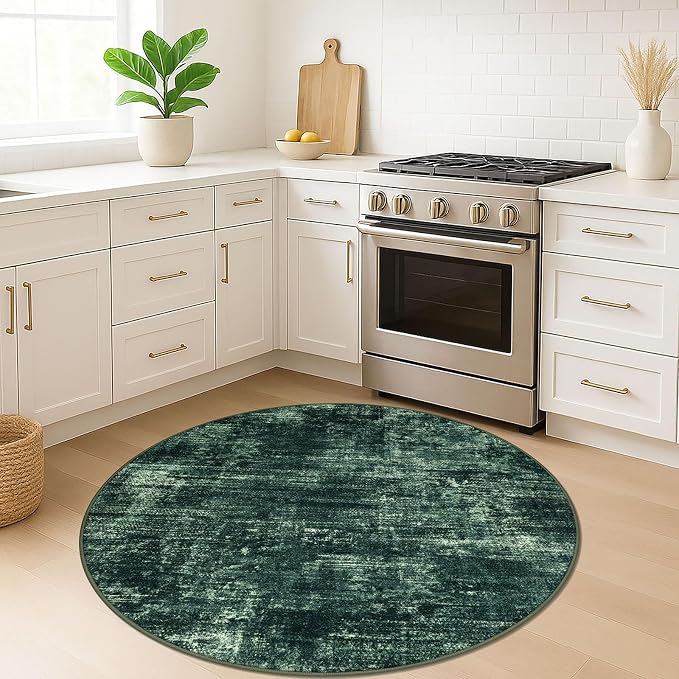 IOHOUZE Round Area Rug 5 Ft Circle Entryway Rugs Round Washable Door Mat Indoor
