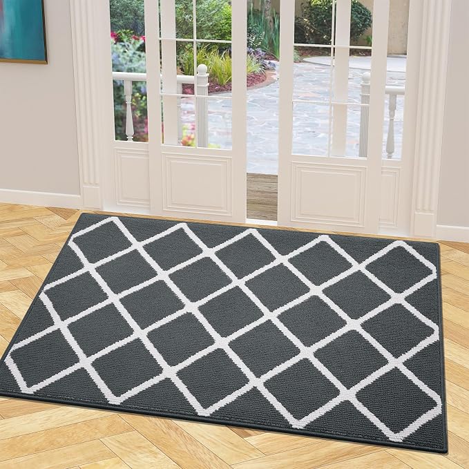 Finchitty Indoor Door Mat, Dirt Resistant and Absorbent, Low-Profile, Washable