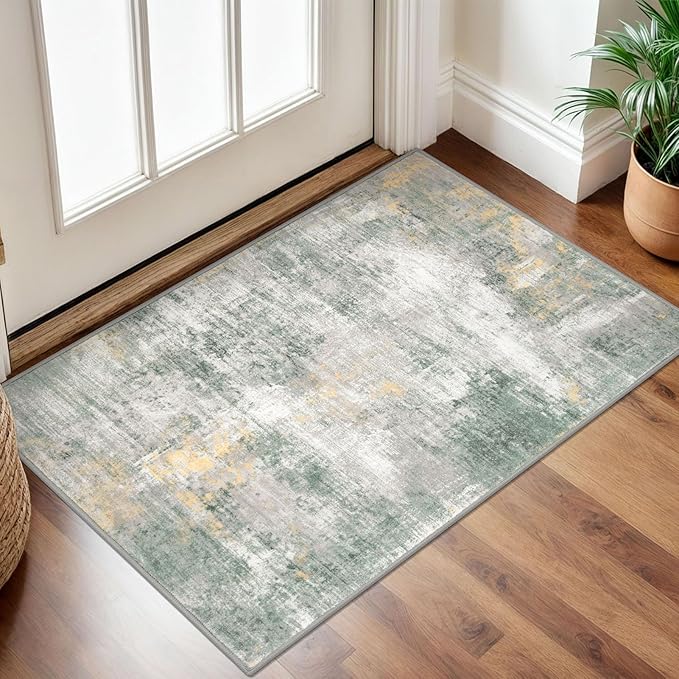 IOHOUZE Small Abstract Area Rug 2x3 Ft Entryway Rugs Washable Door Mat Indoor