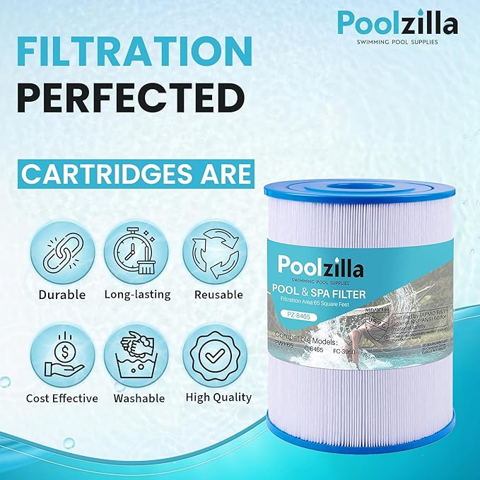 Poolzilla 2-Pack Spa Filter Cartridge Replacement
