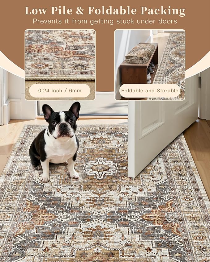 Madane 5x7 Area Rugs for Living Room, Stain Resistant Washable Rugs, Non-Slip