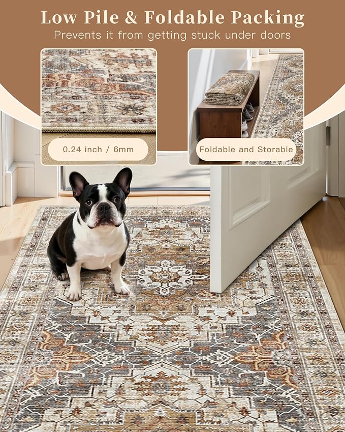 Madane Hallway Runner Rug 3x6