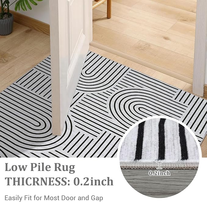 Washable Rug 4x6 Area Rugs for Living Room, Abstract Rug for Bedroom, Soft
