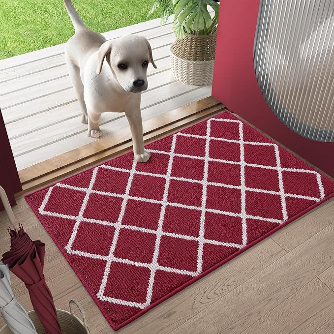 Finchitty Indoor Door Mat, Dirt Resistant and Absorbent, Low-Profile, Washable