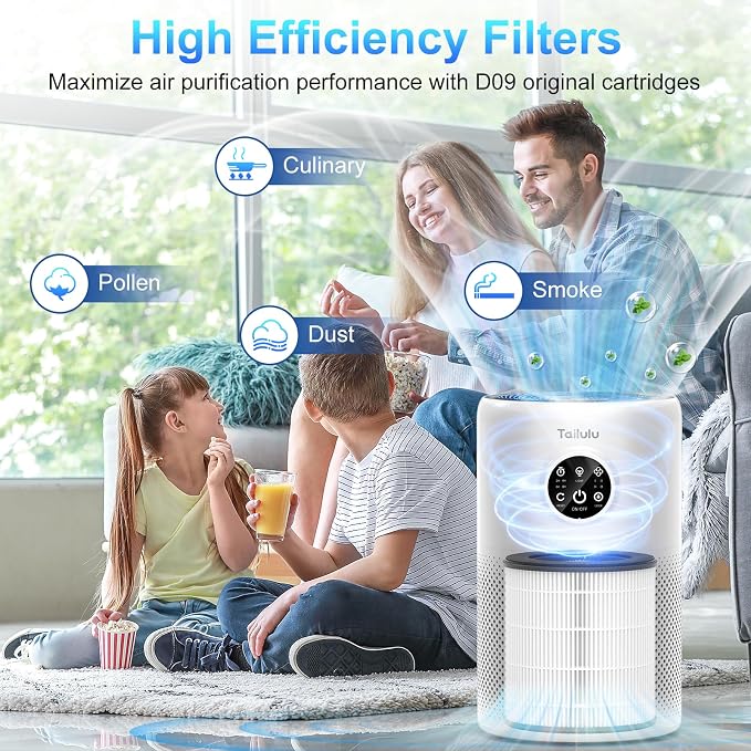 Tailulu 2 Pack D10 Replacement Filter, Air Purifier Filter