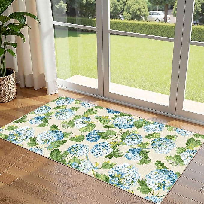 Front Door Mat Indoor Entrance
