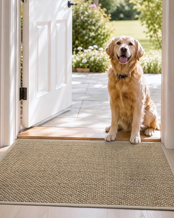 DEXI Ultra Thin Entryway Indoor Door Mat 17x30, Non Slip Rubber Backing Inside