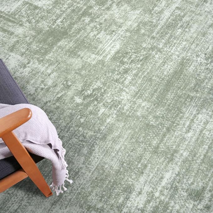 IOHOUZE Abstract Area Rug 4x6 Ft Washable Rugs