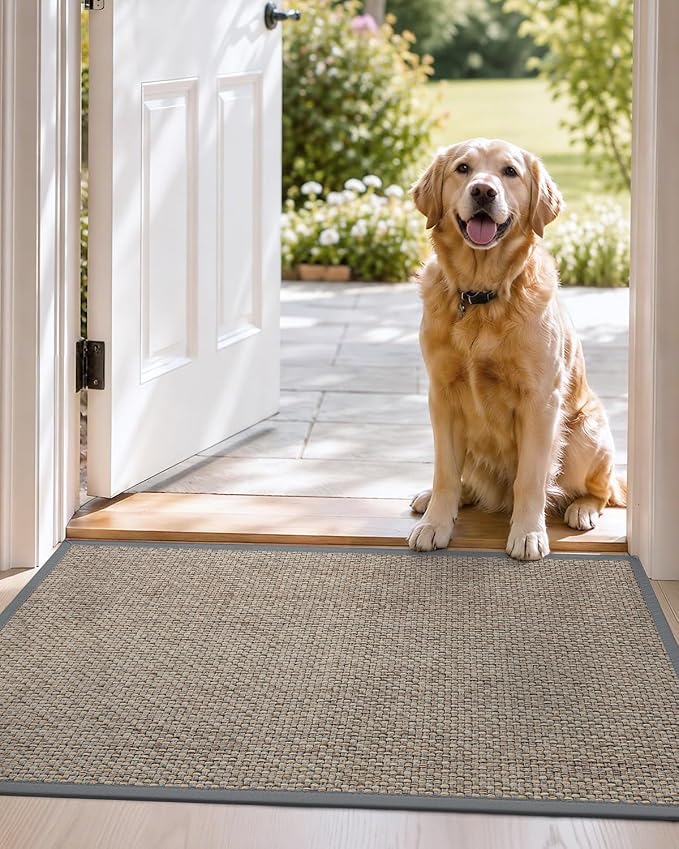 DEXI Ultra Thin Entryway Indoor Door Mat 36x56, Non Slip Rubber Backing Inside