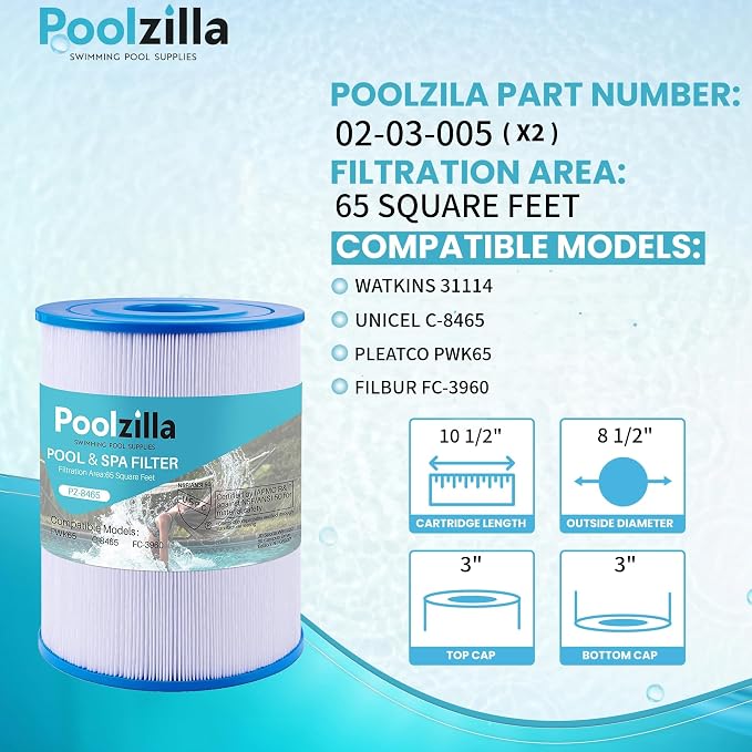 Poolzilla 2-Pack Spa Filter Cartridge Replacement