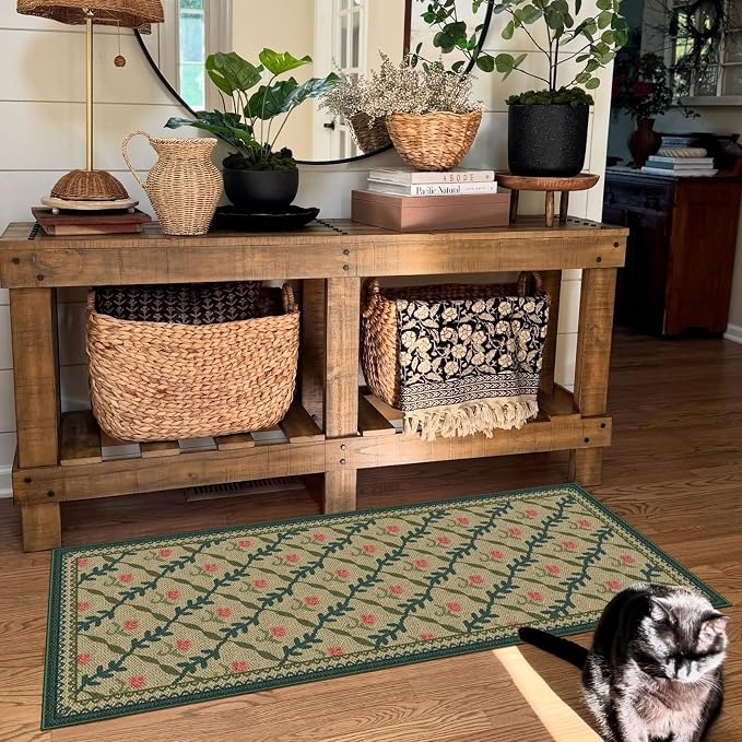 Front Door Mat Indoor Entrance