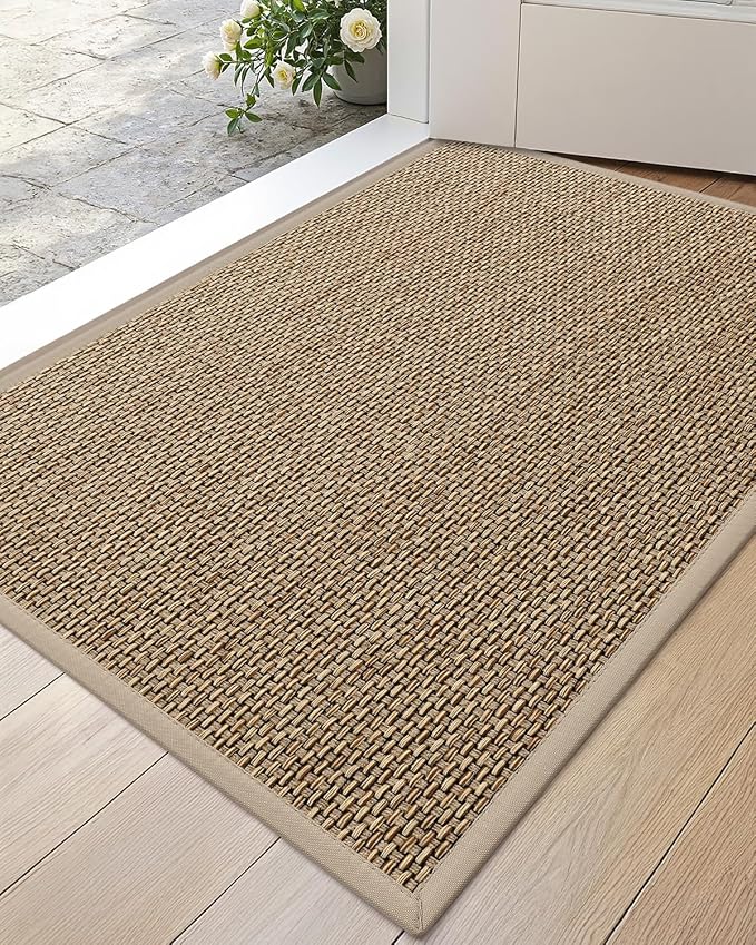 DEXI Ultra Thin Entryway Indoor Door Mat 17x30, Non Slip Rubber Backing Inside