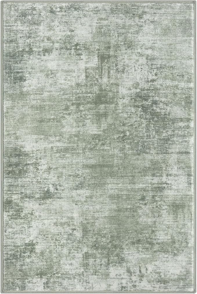 IOHOUZE Abstract Area Rug 4x6 Ft Washable Rugs