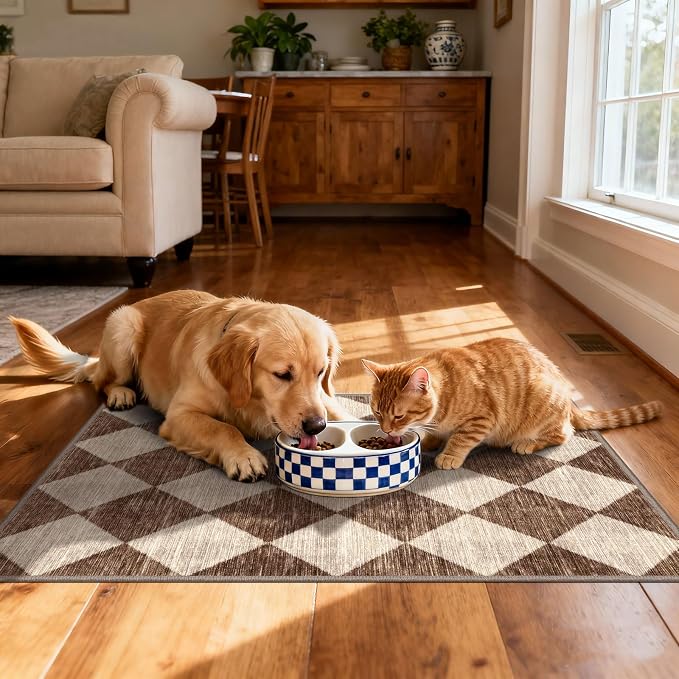 Checkered Entryway Rug
