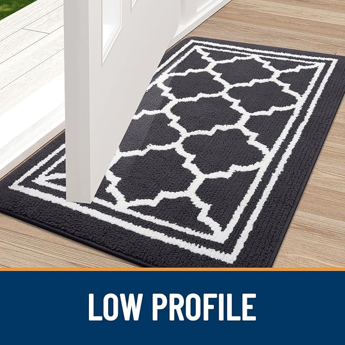 Buganda Large Indoor Door Mat, Dirt-Resistant and Absorbent Doormat, Low