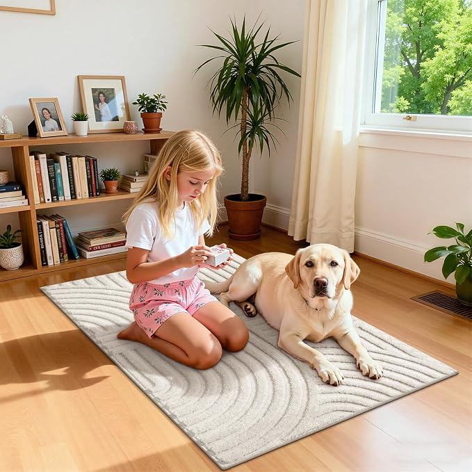 Pauwer 2x3 Washable Area Rugs for Living Room Modern Beige Solid Color Soft