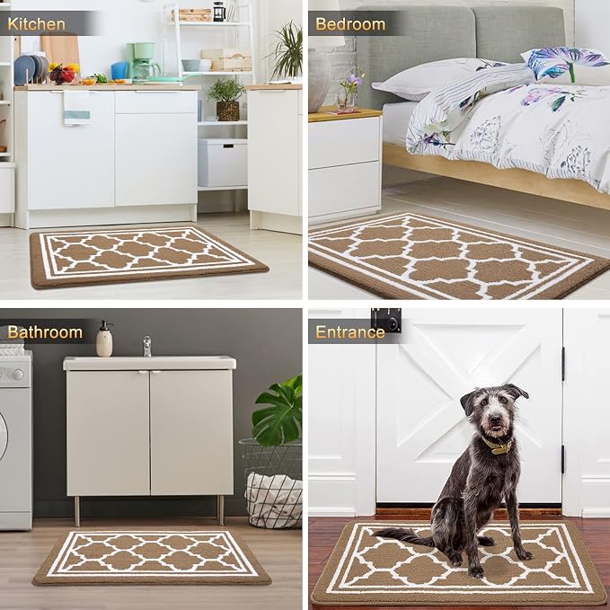Buganda Indoor Door Mat, Dirt-Resistant and Absorbent Doormat, Low Profile
