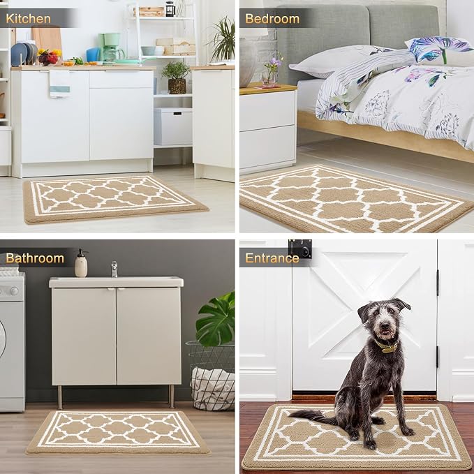Buganda Large Indoor Door Mat, Dirt-Resistant and Absorbent Doormat, Low