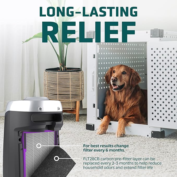 Germ Guardian FLT5250PT True HEPA Genuine Air Purifier Replacement Filter C