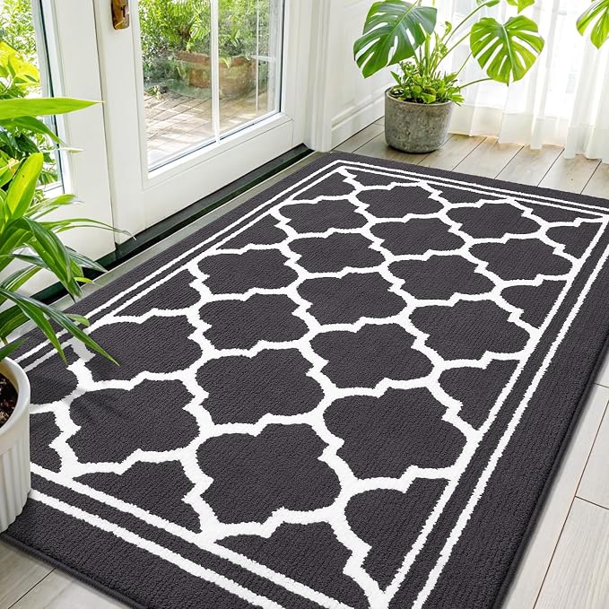 Buganda Large Indoor Door Mat, Dirt-Resistant and Absorbent Doormat, Low
