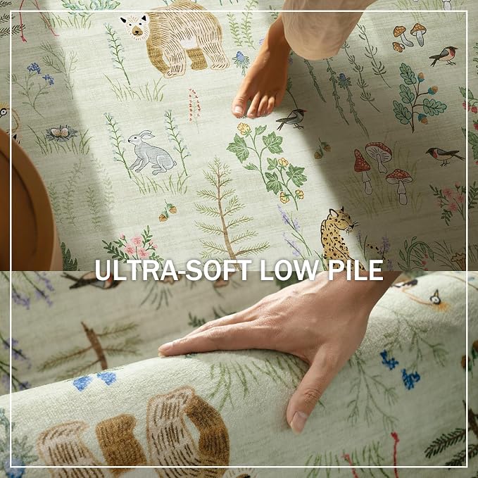 6x9 Area Rugs for Living Room: Washable Rug Vintage Bedroom Rugs Stain