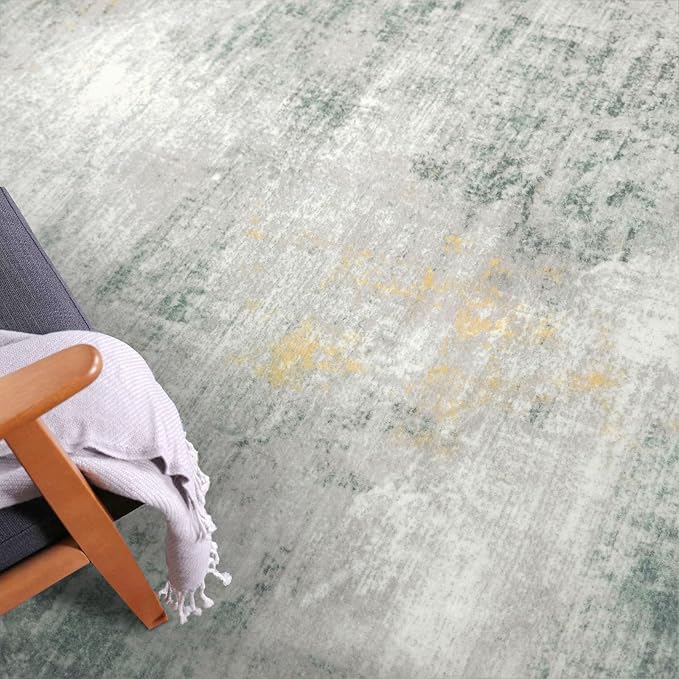 IOHOUZE Small Abstract Area Rug 2x3 Ft Entryway Rugs Washable Door Mat Indoor