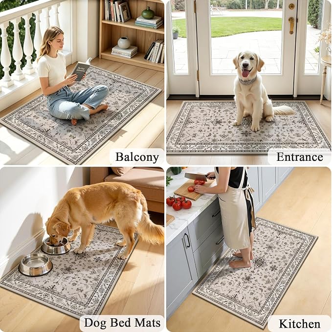 HEBE Washable Aera Rug 2'x 3' Non Slip Door Mat Indoor Entrance, Low Pile