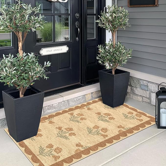 Front Door Mat Indoor Entrance