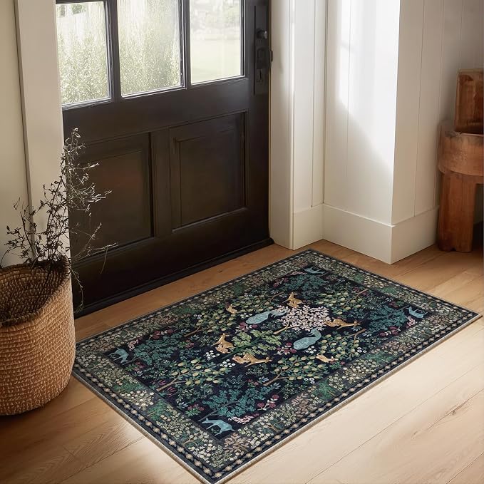 2x3 Washable Throw Rugs for Entryway: Door Mat Indoor Entrance Small Area Rug