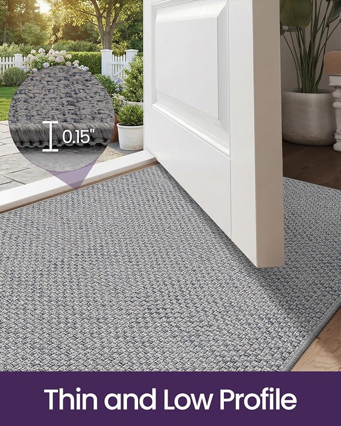 DEXI Ultra Thin Door Mat Indoor Entrance 24x36, Non Slip Rubber Backed Entryway