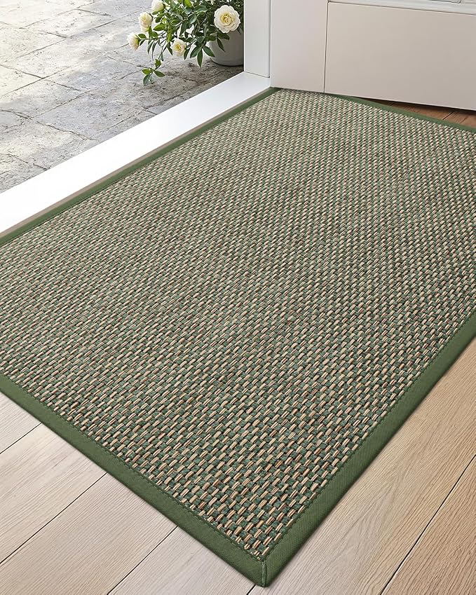 DEXI Ultra Thin Entryway Indoor Door Mat 24x36, Non Slip Rubber Backing Inside