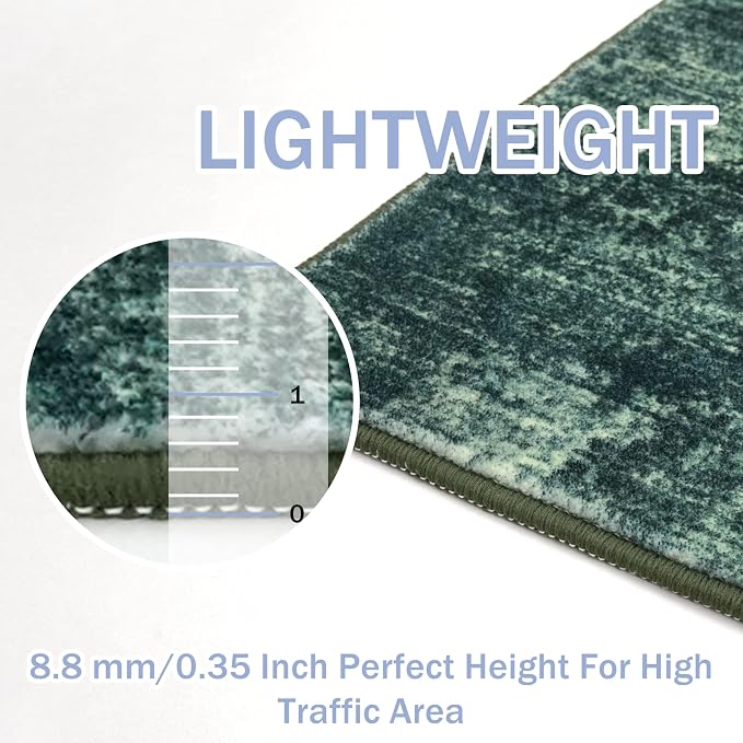 IOHOUZE Small Abstract Area Rug 2x3 Ft Entryway Rugs Washable Door Mat Indoor