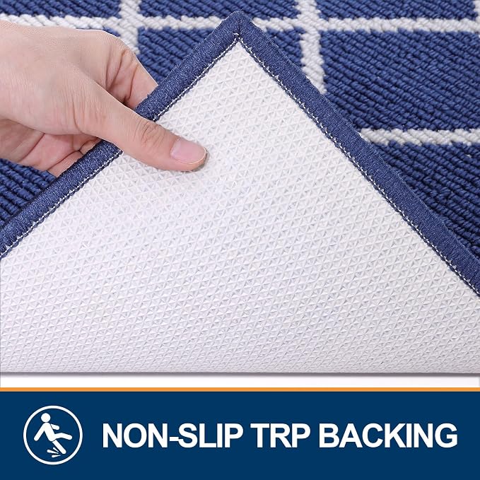 Finchitty Indoor Door Mat, Dirt Resistant and Absorbent, Low-Profile, Washable