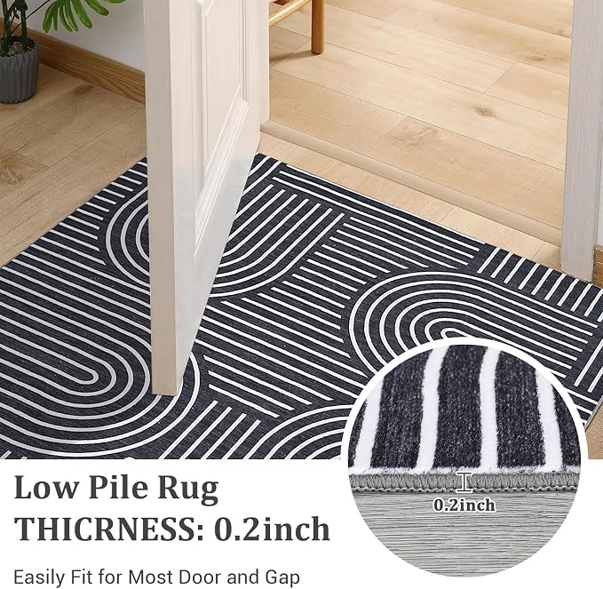 ROYHOME Washable Rug 4x6 Area Rugs