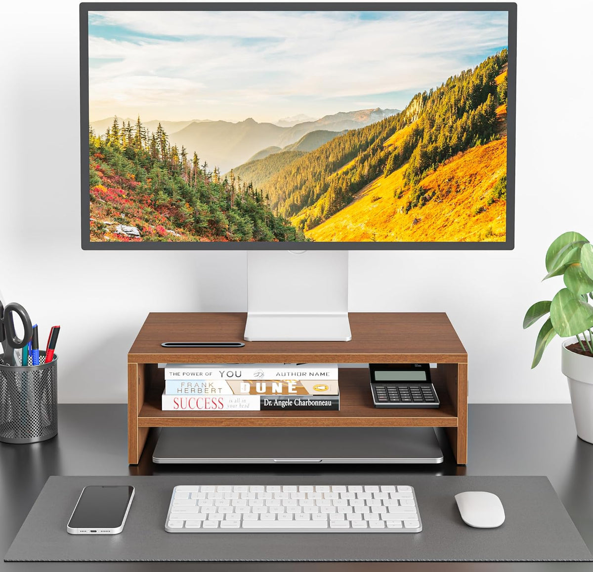BONTEC Wooden Monitor Stand Riser for Desk, 2-Tier Computer Monitor Stand