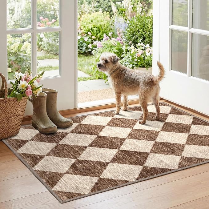Checkered Entryway Rug
