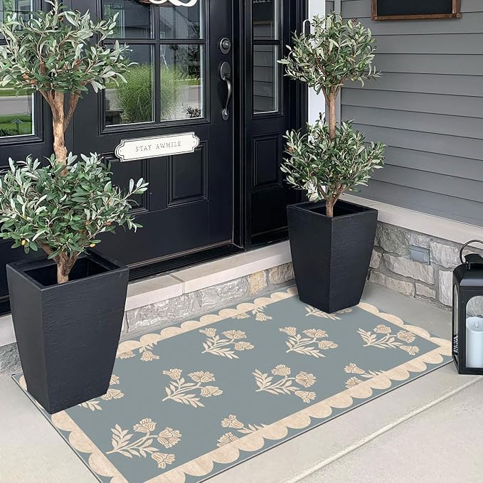Front Door Mat Indoor Entrance