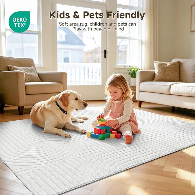 Pauwer 4x6 Washable Area Rugs for Living Room Modern White Solid Color Soft