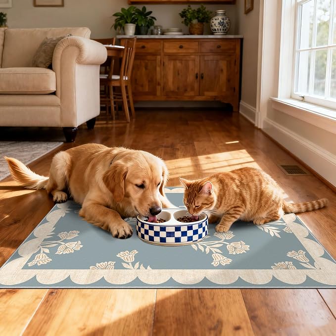 Front Door Mat Outside Entrance