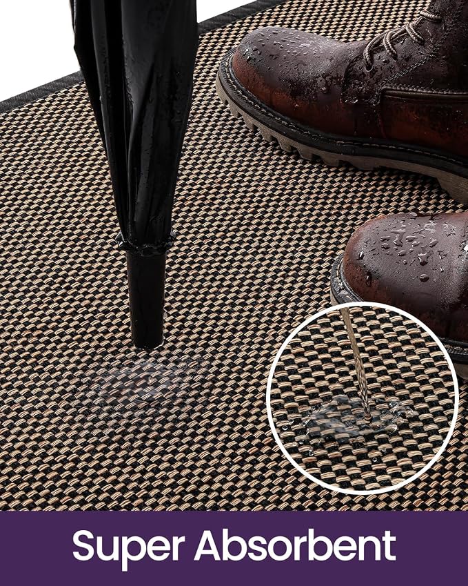 DEXI Ultra Thin Entryway Indoor Door Mat 17x30, Non Slip Rubber Backing Inside