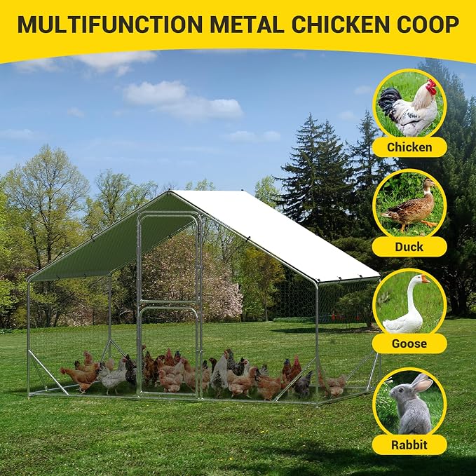 9.8X6.5x6.5FT, Large Walk in Chicken Run Pen Cage, Metal Coop Clearance