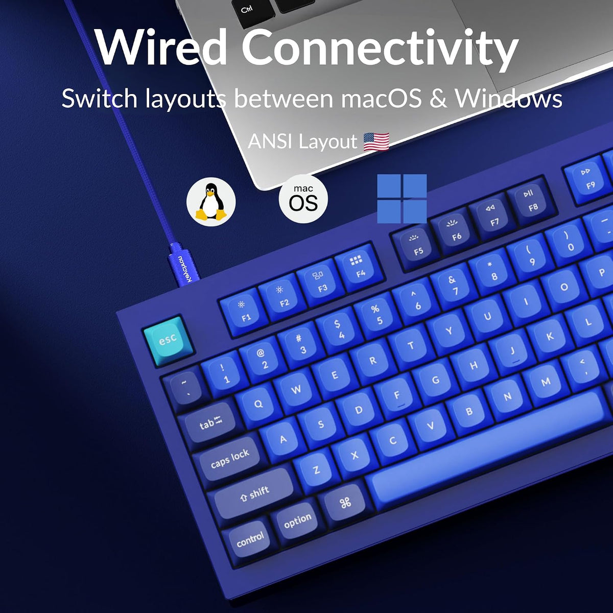 Keychron Q1 RGB Wired Custom Mechanical Keyboard, 75% Layout RGB Backlight with Hot-swappable Gateron G Pro Red Switch Double Gasket Compatible with Mac Windows Linux (Blue) -Version 2