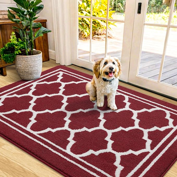 Buganda Indoor Door Mat, Dirt-Resistant and Absorbent Doormat, Low Profile