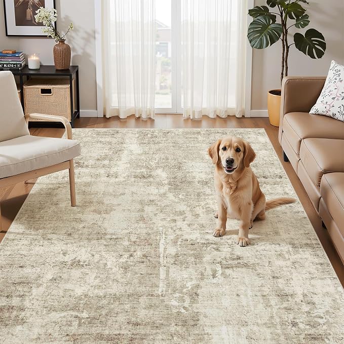 Soalmost 3x5 Rug, Small Area Rug