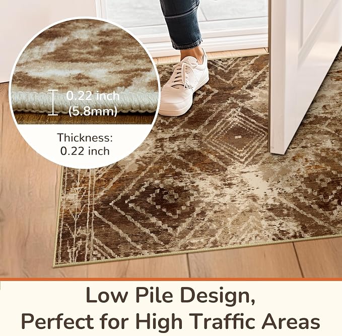 BESTSWEETIE Area Rug 4x6 Rug Machine Washable Non-Slip Low Pile Print Pattern