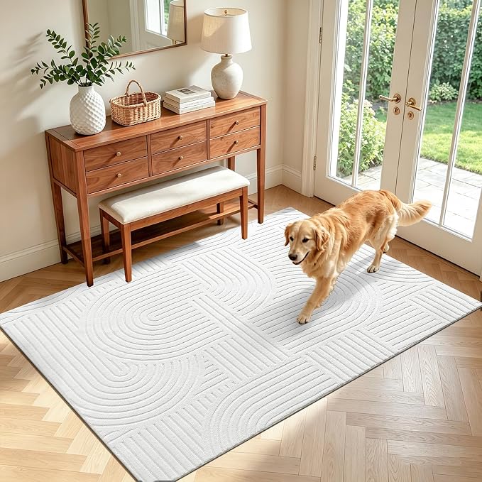 Pauwer 4x6 Washable Area Rugs for Living Room Modern White Solid Color Soft