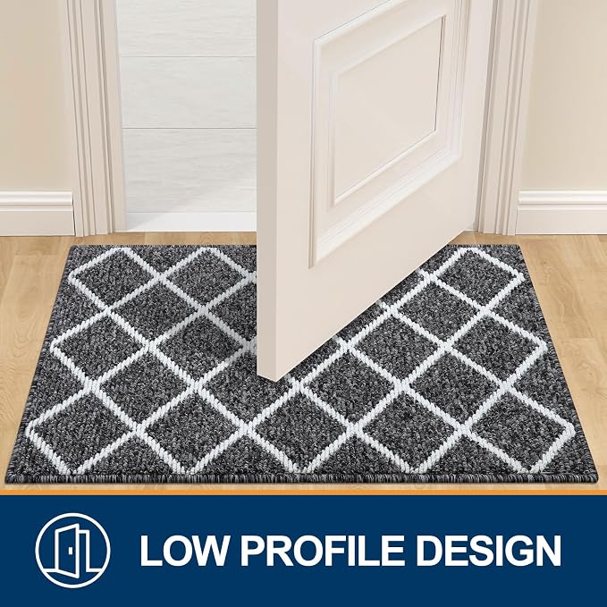 Finchitty Indoor Door Mat, Dirt Resistant and Absorbent, Low-Profile, Washable