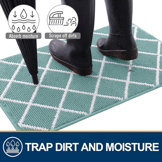 Finchitty Indoor Door Mat, Dirt Resistant and Absorbent, Low-Profile, Washable