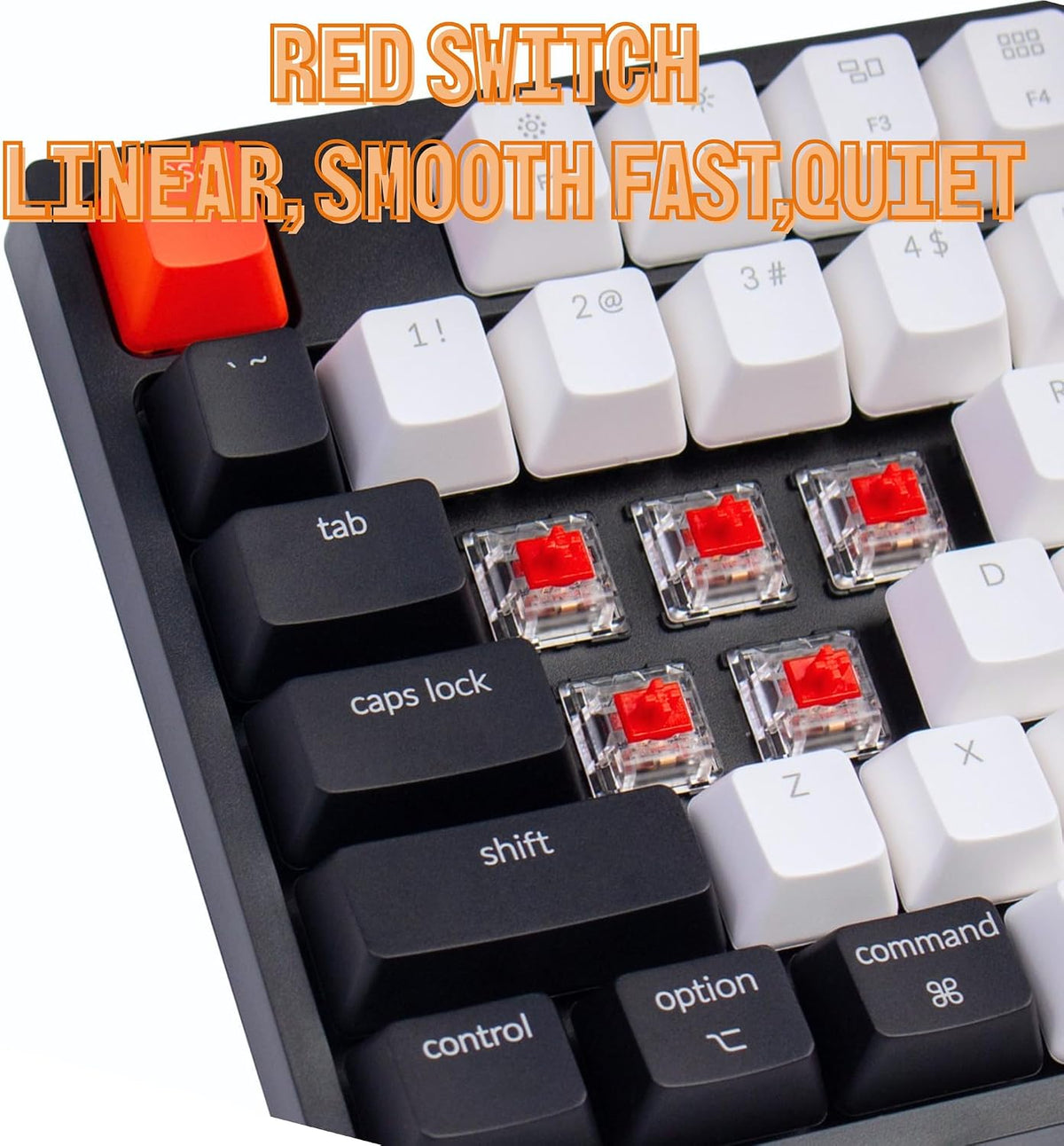 Keychron C2 Wired Full-Size Keyboard, Keychron Red Switch, White Backlight