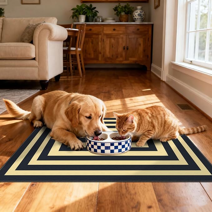 Front Door Mat Outside Entrance